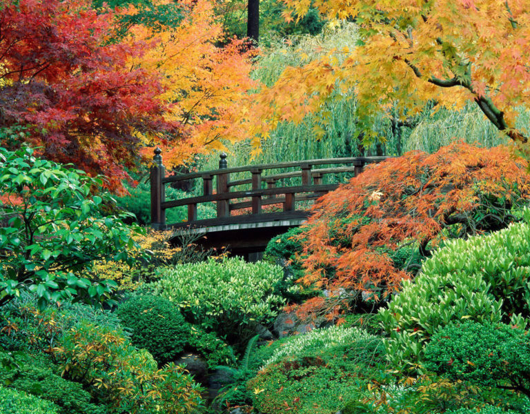 Japanese-Garden-Washington-Park-Portland-Oregon
